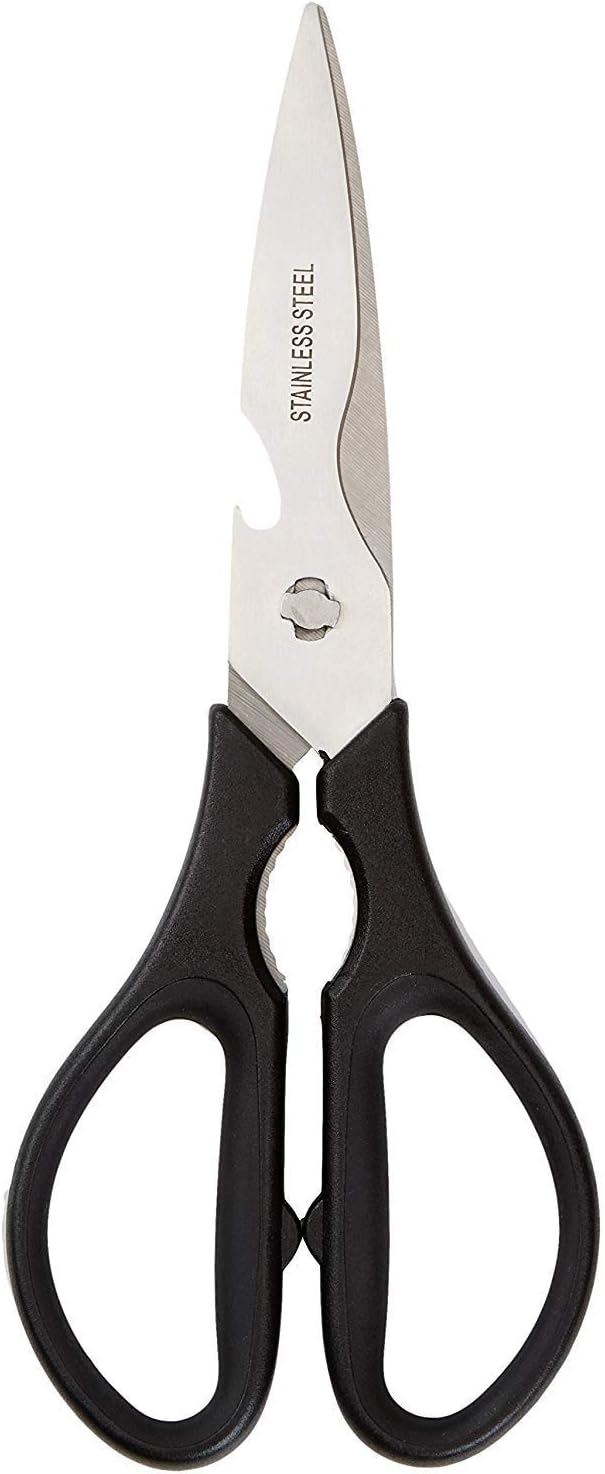 Coup d'Essai : Les Meilleurs Ciseaux de Cuisine Amazon Basics en Inox !