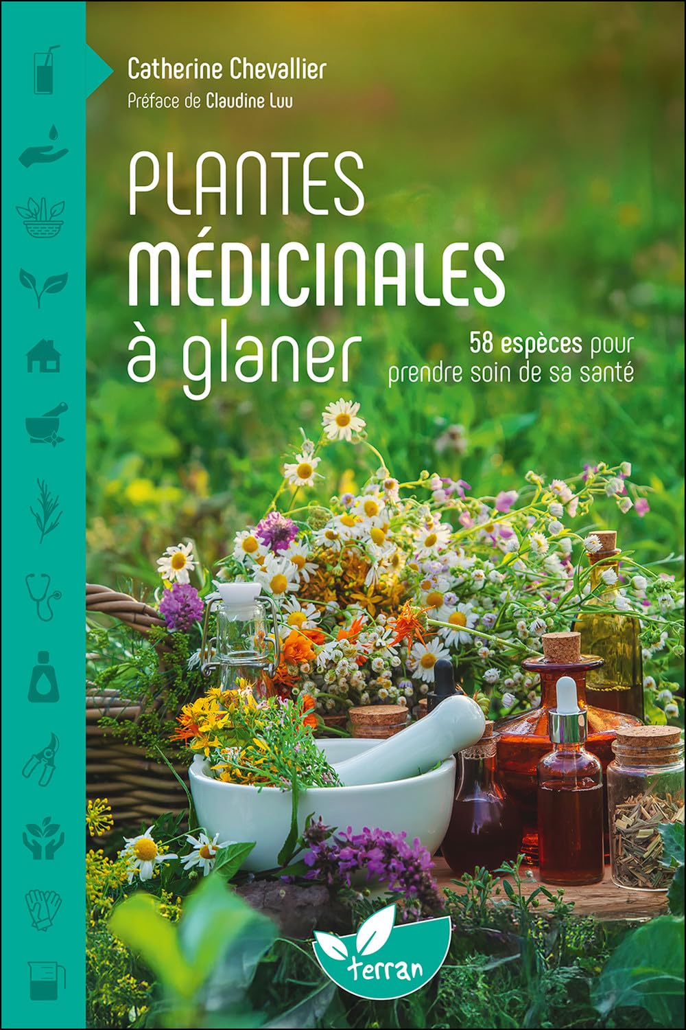 58 Plantes Médicinales : Les Meilleurs Remèdes de la Nature à Découvrir!