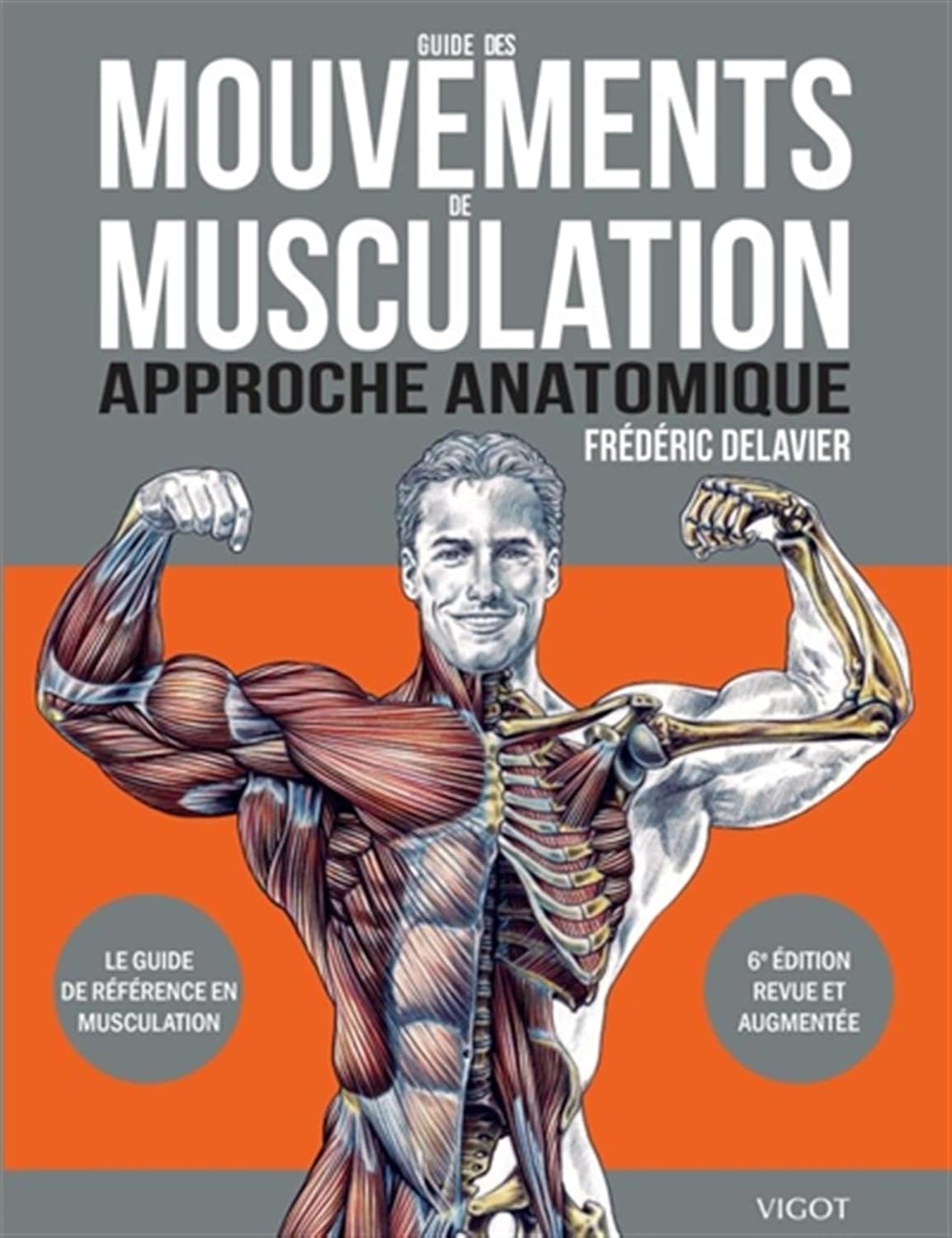 Musculation Dévoilée : Les Meilleurs Mouvements Anatomiques à Connaître !